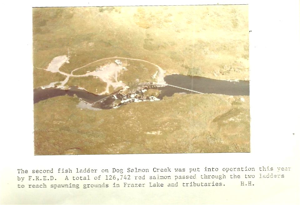 (1979) Dog Salmon Creek