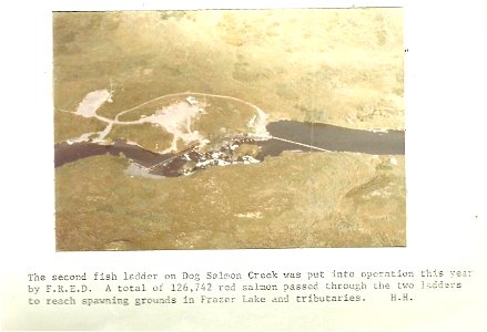 (1979) Dog Salmon Creek photo