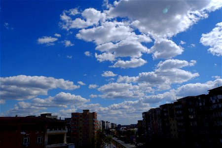 nori-Vitan2015_0404_140338
