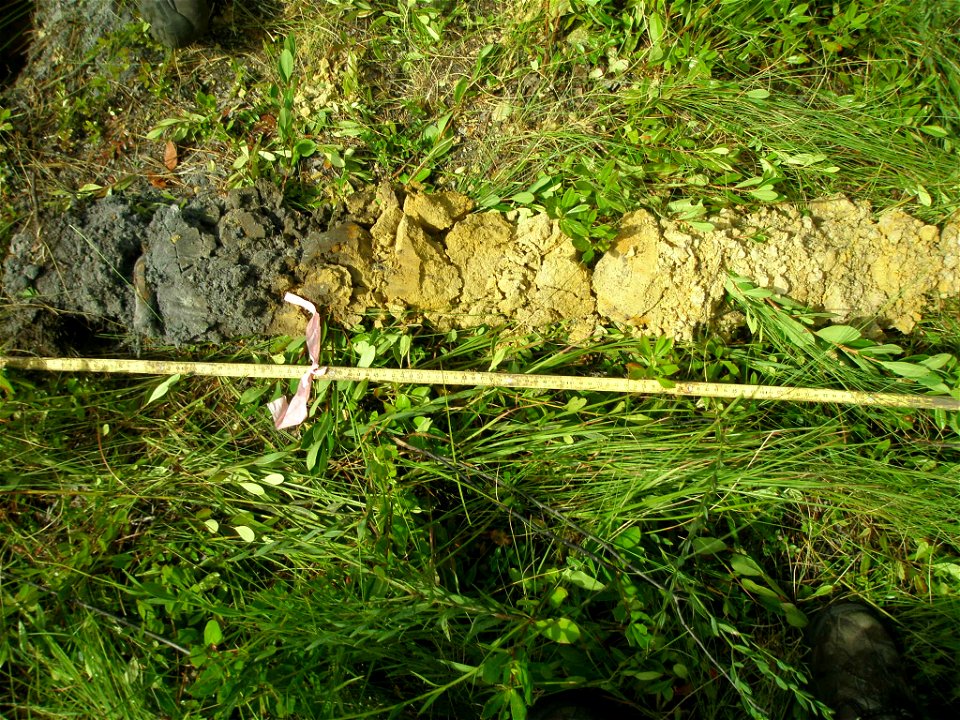soil profile NWCA11-2047_08.24