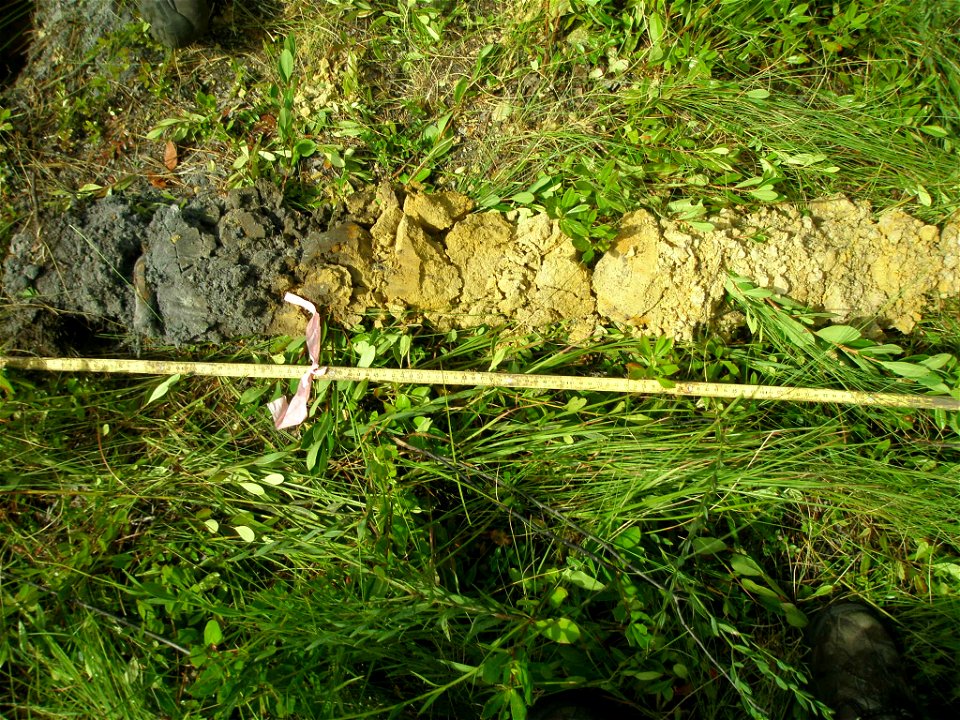 soil profile NWCA11-2047_08.24 photo