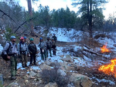 Blanding East Fuels Reduction Project
