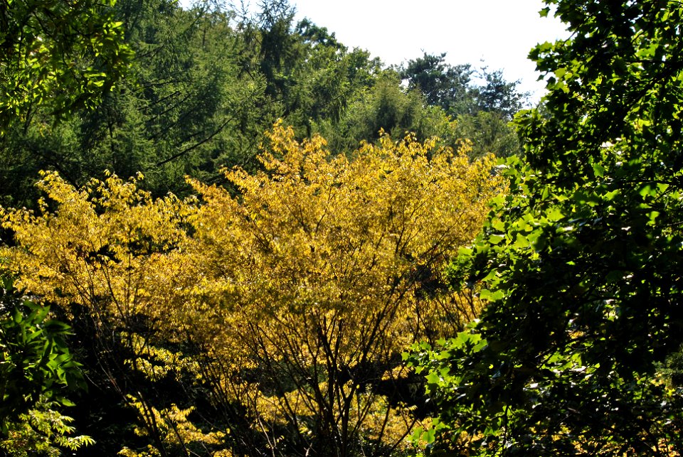 Teajosan Mountain Hiking