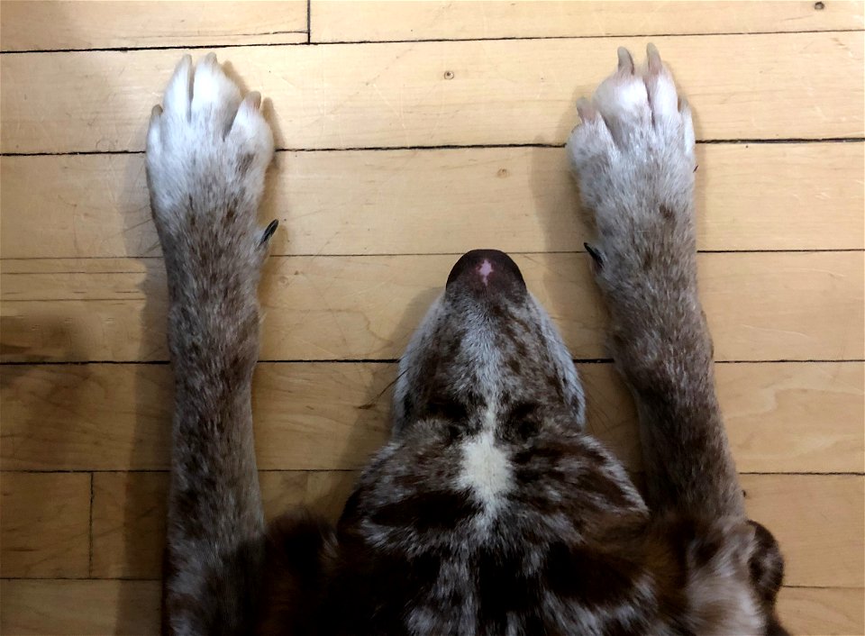 2022/365/83 Doing My Stretches