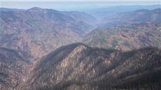 Riverside Fire Fish Creek drainage, Mt. Hood National Forest photo