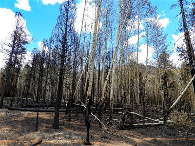 Burned Area Emergency Response media briefing photo