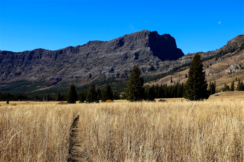 Views along the Pebble Creek Trail (1)