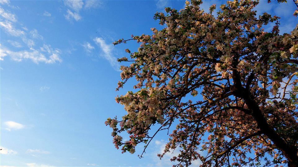 DSC09440