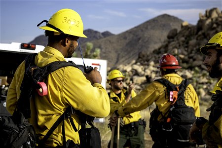 Wildland fire crew near Quail Mountain