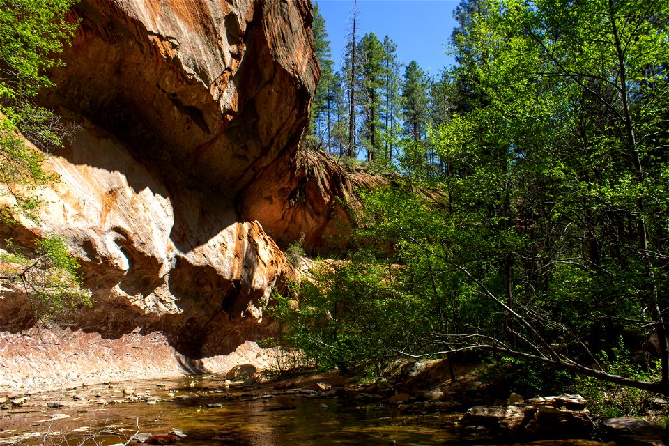 Springtime - West Fork of Oak Creek Trail #108