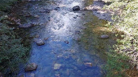Sauk River near Bedal campground, Mt. Baker-Snoqualmie National Forest. Video by Anne Vassar Sept. 13, 2021. photo