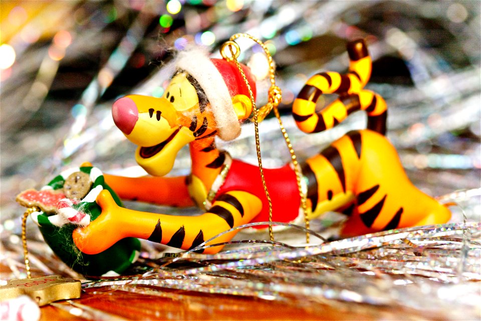 A Tigger's a wonderful thing to be photo