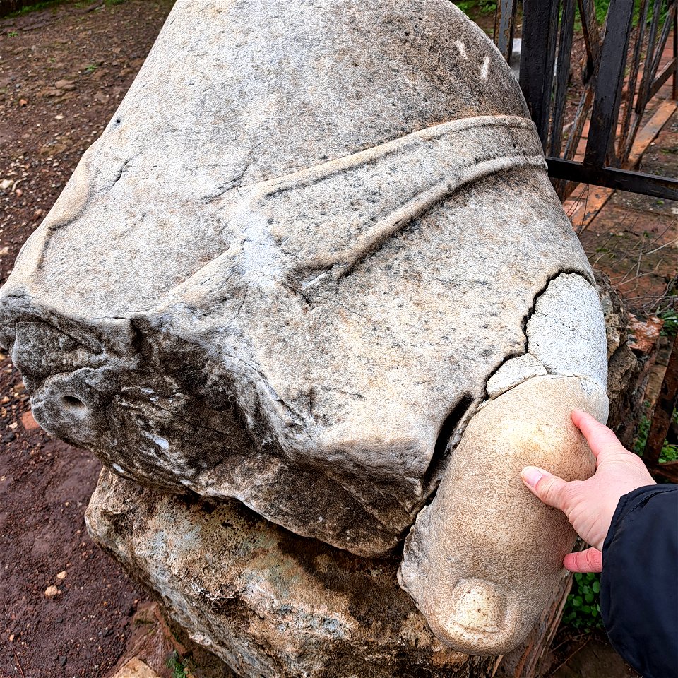Ancient little toe Roman Forum Rome Italy