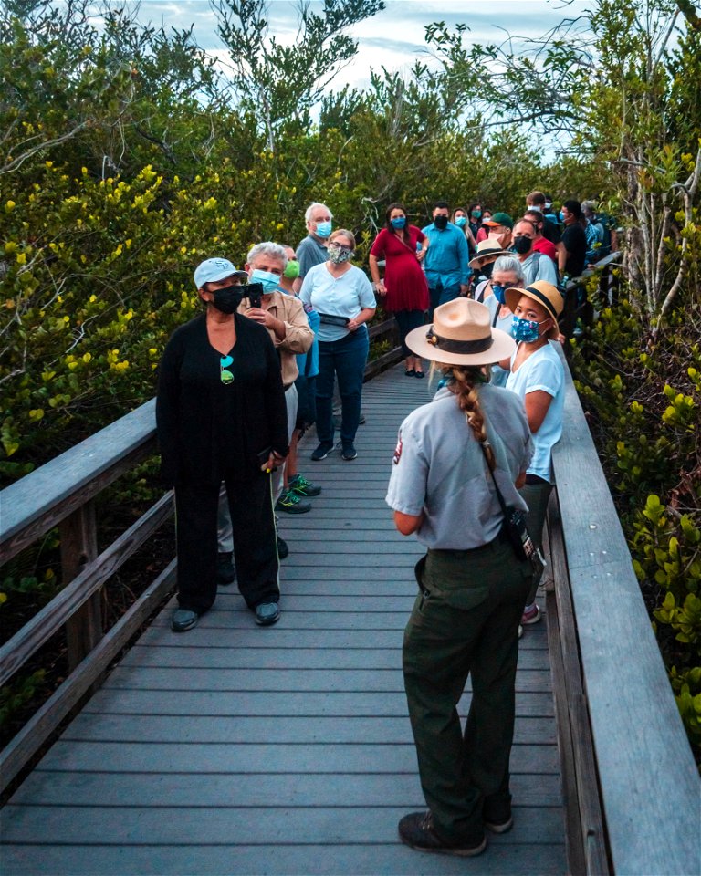 Dark Sky Event at Shark Valley