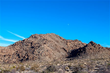 Joshua Tree National Park