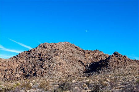 Joshua Tree National Park photo