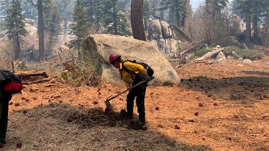 Prescribed Fire photo