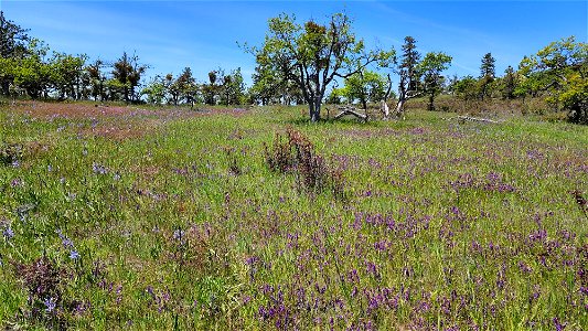 PRESCOTT PARK (05-17-2022) medford, josephine co, or -02