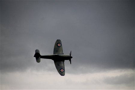 IMG_2657