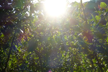 Sambata_monastery_mo2018_0826_084557