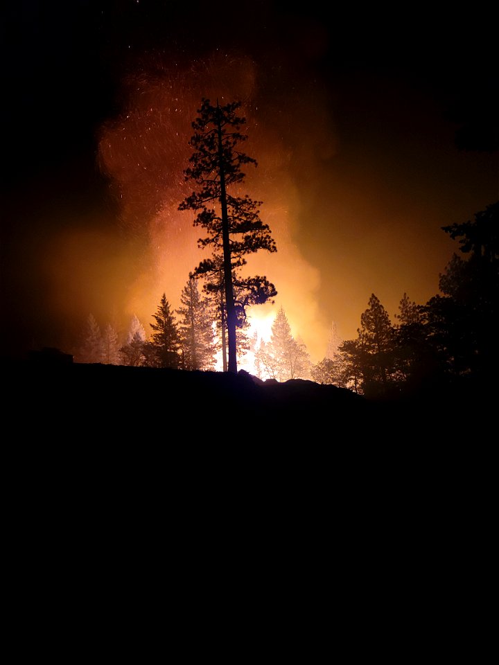 2021 BLM Fire Employee Photo Contest Category: The Land We Protect