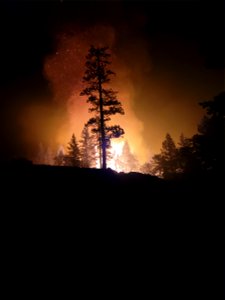 2021 BLM Fire Employee Photo Contest Category: The Land We Protect photo