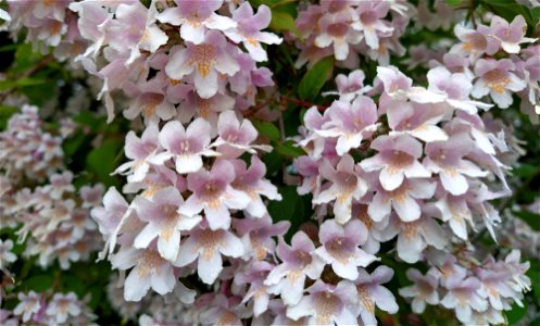 IMG_20220610_194351