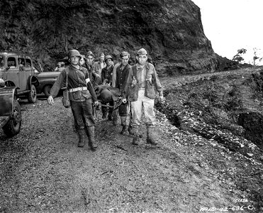SC 151556 - Medical first aid units carry a soldier down the trail to a first aid station. It took eight men to carry one man over the rough trail during maneuvers. photo