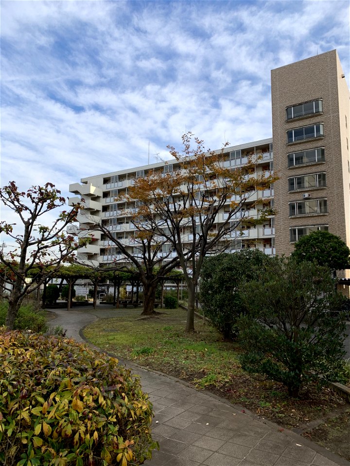 Daimoncho, Higashikurume-shi in November