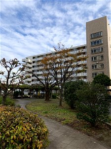 Daimoncho, Higashikurume-shi in November photo