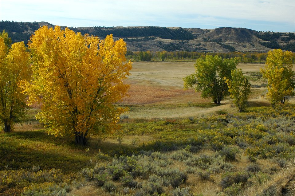 Autumn Vista