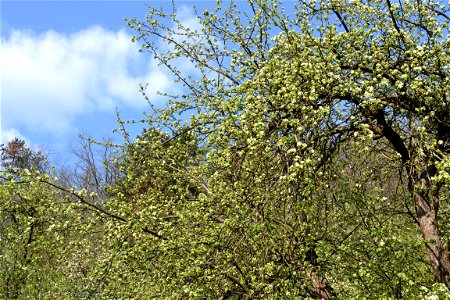 Spring ,April 2023