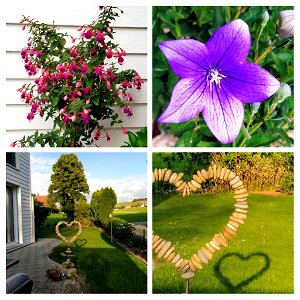20200714_194835-COLLAGE