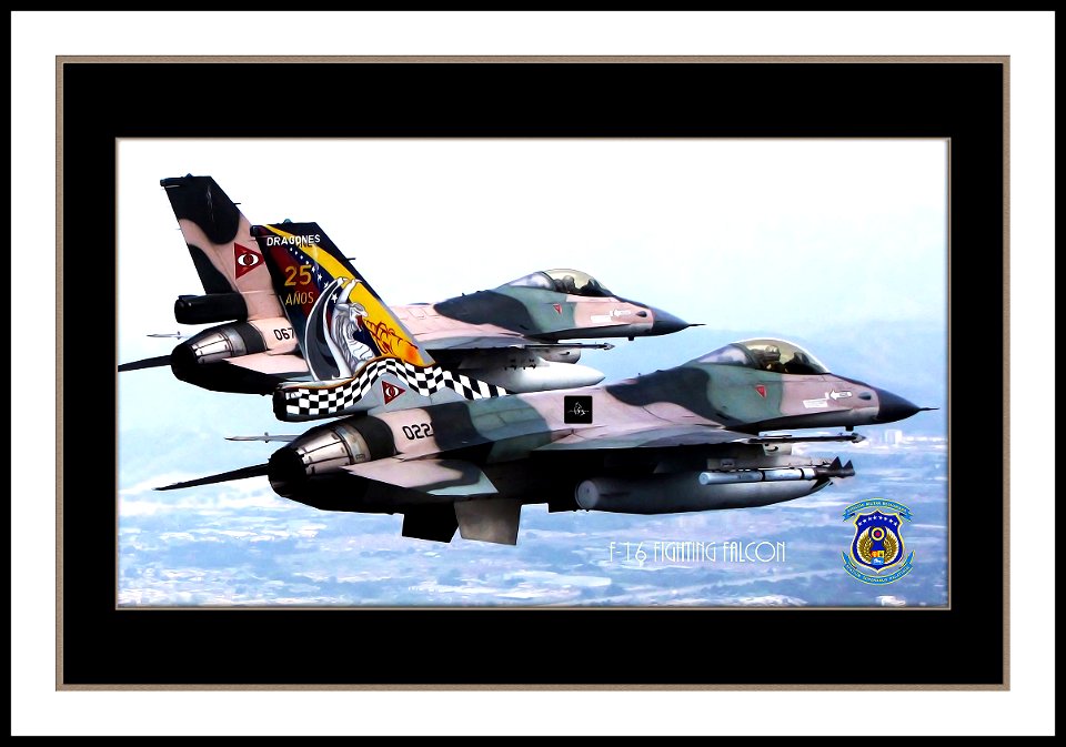 F-16 Fighting Falcons photo