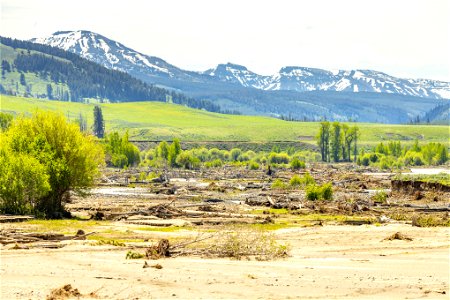 Yellowstone flood event 2022: debris at the confluence of Lamar River and Soda Butte Creek photo