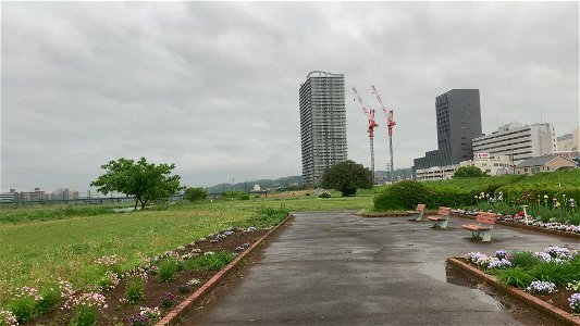Ichinomiya Park Tama-shi