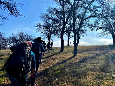 Winner: Ranger Led Eagle Hikes photo