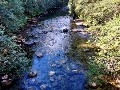 Sauk River near Bedal Campground, Mt. Baker-Snoqualmie National Forest. Photo by Anne Vassar Sept. 13, 2021. photo