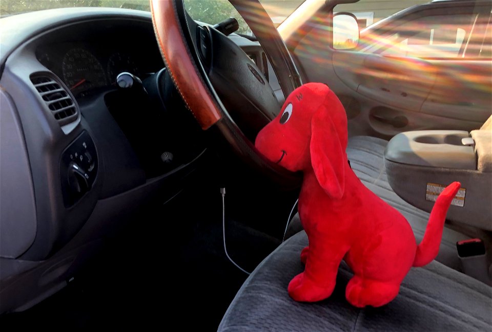 2021/365/201 Red Dog Ready for a Ride