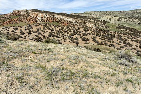 Southern foothills of the Bighorn Mountains
