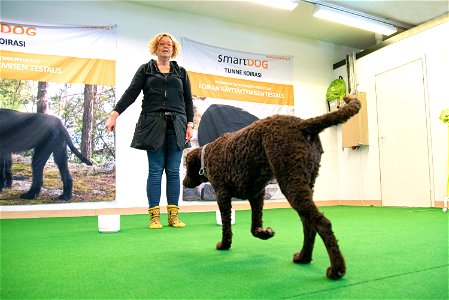 SmartDog, Riihimäki