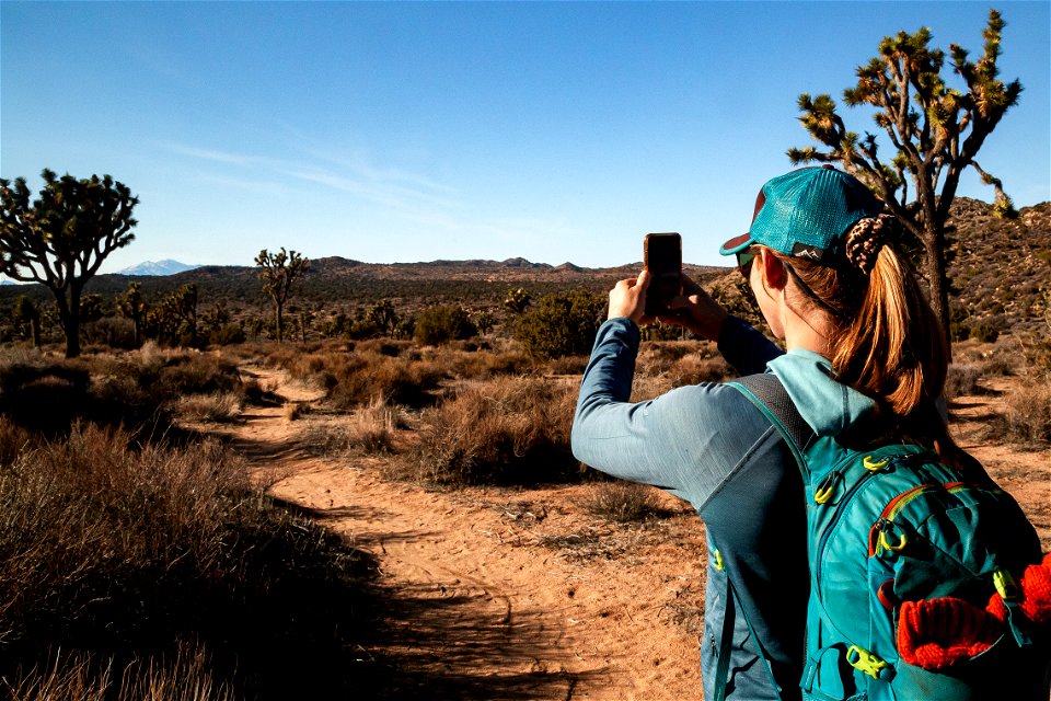Visitor Photography