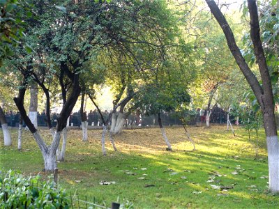 2019-10-28_la Sfantul Dimitrie pe Colina Bucuriei_4