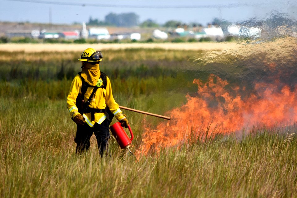 BLM’s Folsom Lake Veterans Crew perform RX Burn at Cosumnes River Preserve restoring critical habitat.