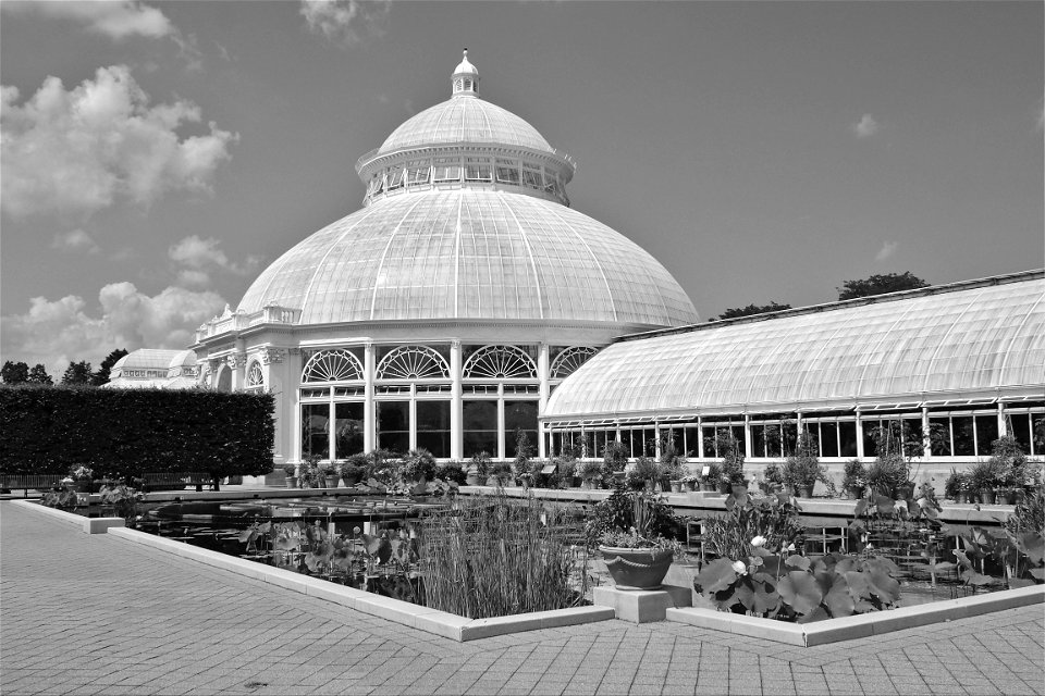 NYC Botanical garden photo