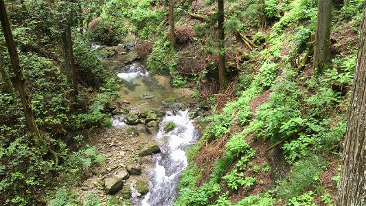 Mountain river in Hinohara-mura, Tokyo