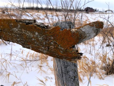 Wood Warping Corner