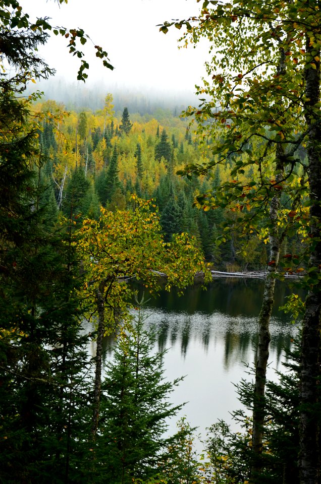 Morning Calm