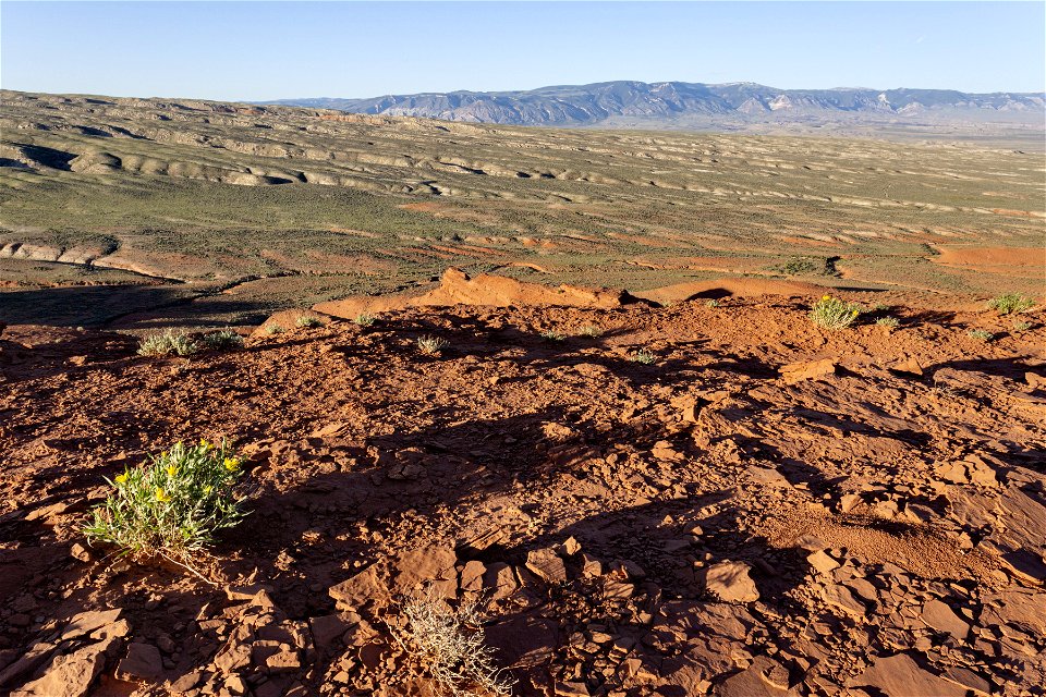 Near East Fork Sand Draw