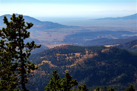 Mountains and trees from Judith Peak photo